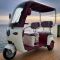 Электротрицикл ProTrike Караван Крыша V1